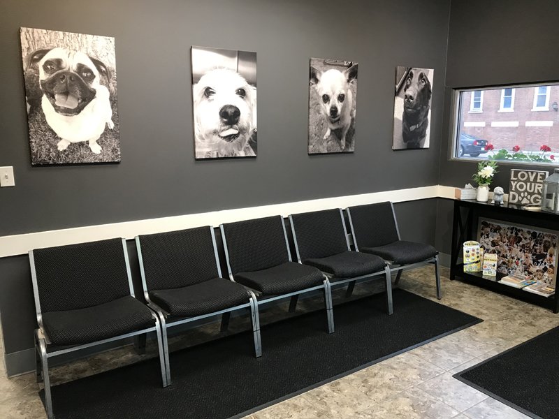 Hospital Tour Keokuk Veterinary Hospital