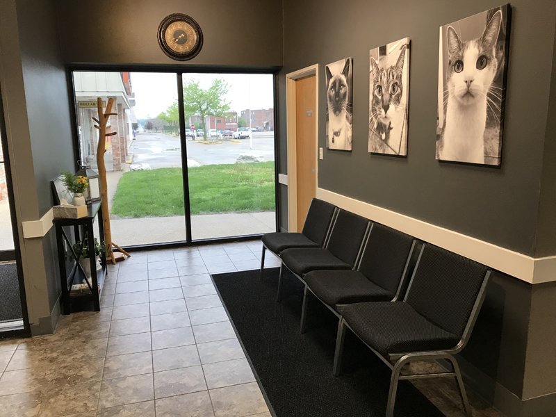 Hospital Tour Keokuk Veterinary Hospital