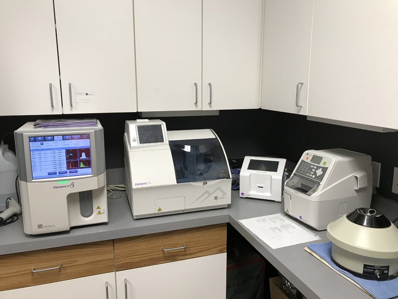 Hospital Tour Keokuk Veterinary Hospital