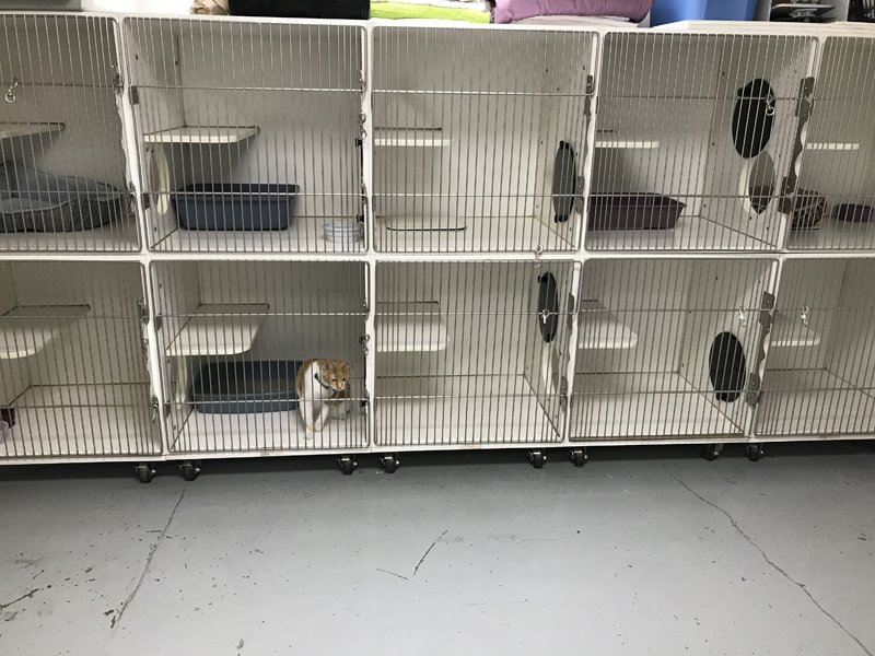 Hospital Tour Keokuk Veterinary Hospital