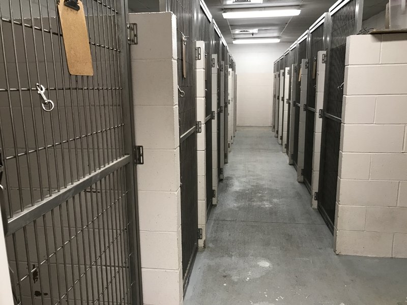 Hospital Tour Keokuk Veterinary Hospital