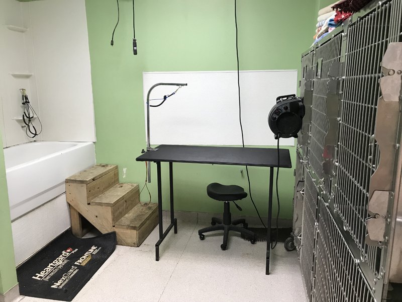 Hospital Tour Keokuk Veterinary Hospital