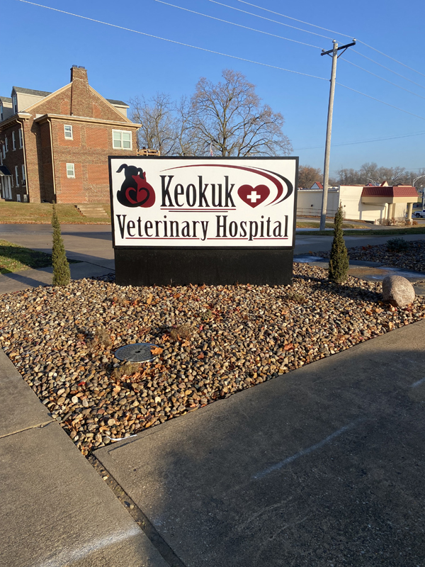 Hospital sign outside the clinic